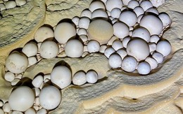 Bí mật về những viên 'ngọc động ngàn năm' trong hang động vừa phát hiện tại Phong Nha