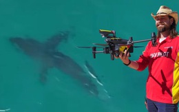 Australia mở rộng mạng lưới drone giám sát cá mập sau hàng loạt sự cố