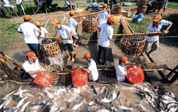 Nông nghiệp bền vững