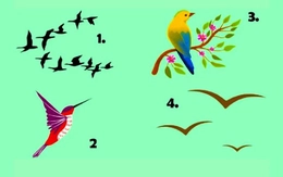 Quiz: Bạn khiêm tốn hay là người tự cao?