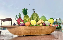 Về miền trái ngọt Đồng Tháp