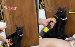 Có tí ngoại ngữ nó sang hẳn