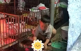 Cậu bé 9 tuổi gây sốt với 'job hè' đặc biệt