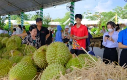 Lấp đầy các xuồng trái cây trưng bày và bán tại chỗ sau sự cố đêm khai mạc