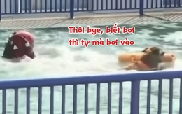 Chú chó 'lạnh lùng' nhất hành tinh