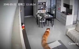 Hào hứng check camera mới, cô gái ngã ngửa với chất lượng 'vượt' mong đợi