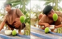 Chàng trai ngã dập mông khi ngồi trên mái tôn live stream cảnh ăn xoài