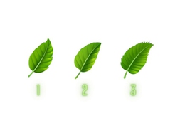 Quiz: Điểm mạnh lớn nhất của bạn là gì?