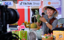 Đồng Tháp 'cầm tay chỉ việc' đưa nông sản lên sàn thương mại điện tử
