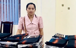 Dùng AI sao chép thiết kế áo dài, chủ thương hiệu vải 'Đất Lành' bị khởi tố