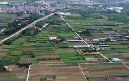 Nhận diện chiêu trò thổi giá, lừa đảo từ các phiên đấu giá đất tại Hà Nội