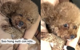 Chọn con tim hay là nghe lý trí?!