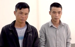 Rủ nhau sản xuất phân bón, thuốc bảo vệ thực vật giả