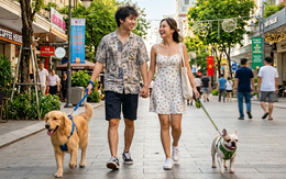 Khi giới trẻ mải mê trào lưu DINK