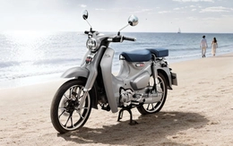 Honda Super Cub có bản mới bắt mắt hơn, phanh ABS, dùng được xăng sinh học
