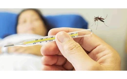 Chuyên gia cảnh báo về gánh nặng khó lường do sốt xuất huyết Dengue tại Đồng Nai