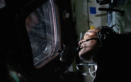 Muốn thử sống như phi hành gia? NASA đang tuyển tình nguyện viên