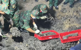 29 liệt sĩ ở công viên Lê Thị Riêng có thể là Biệt động Sài Gòn và Tiểu đoàn 1; Còn 2 rãnh mộ, sắp tới sẽ tìm kiếm