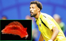 Fan cười ngất khi tên người hùng World Cup được đặt cho sên biển Vozinha