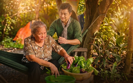 Nghệ sĩ Lê Thiện gây xúc động với bà mẹ nhớ người con liệt sĩ trong khu vườn quạnh hiu