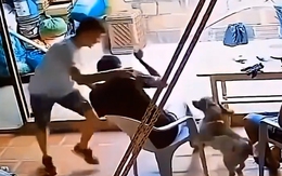 Chàng trai khốn khổ với 'chó nhà em ngoan lắm, không cắn đâu'