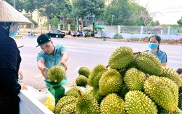 Cần Thơ 'thiết lập cơ chế phản ứng nhanh' để tiêu thụ nông sản