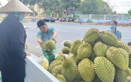 Cần Thơ 'thiết lập cơ chế phản ứng nhanh' để tiêu thụ nông sản