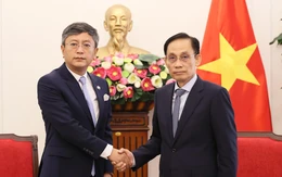 Vụ lật ca nô tại Phú Quốc: Việt Nam đã triển khai mọi biện pháp cứu nạn, cứu chữa