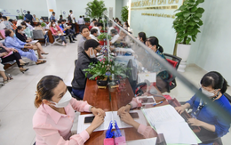 Chủ tịch UBND xã được xử phạt vi phạm hành chính về đất đai gấp 50 lần so với trước