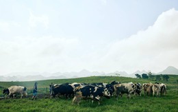 Mộc Châu Creamery chinh phục người tiêu dùng miền Nam