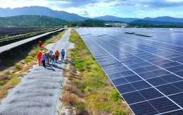 Bộ Công Thương lấy ý kiến khung giá điện gió, điện mặt trời năm 2026 do EVN tính toán