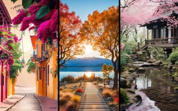 Quiz: Tâm hồn bạn đang khao khát điều gì?