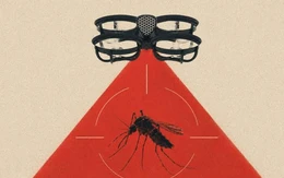 Công ty khởi nghiệp phát triển drone siêu nhỏ diệt... muỗi