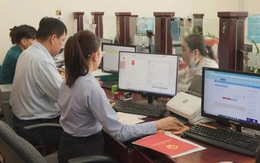 Chuyện những người trẻ của thành phố