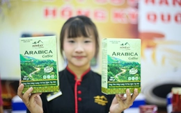 Điện Biên tăng tốc trồng cà phê