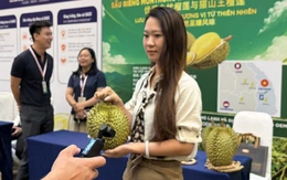 Hàng triệu đơn hàng sầu riêng Việt Nam qua sóng 'livestream' tại thị trường Trung Quốc
