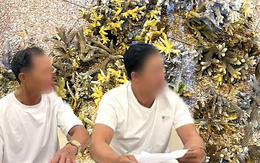 Hai du khách bẻ hơn 10kg san hô ở biển Hòn Chồng bị phạt 50 triệu đồng