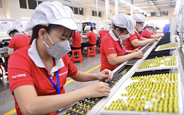 Doanh nghiệp nhỏ 'mắc kẹt' giữa áp lực chuyển đổi xanh