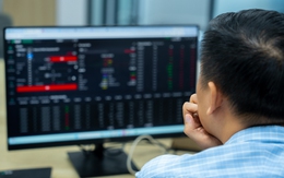 Phát hiện một cá nhân mượn nhiều tài khoản, thao túng cổ phiếu Tập đoàn Đạt Phương