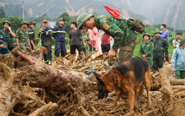 Lũ quét ở Lai Châu: Tìm thấy thi thể bé gái trong gia đình có ba mẹ con bị lũ cuốn