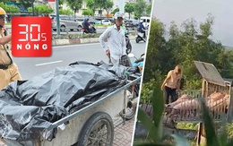 Bản tin 30s Nóng: TP.HCM quyết dẹp xe ba gác chở hàng cồng kềnh; Khởi tố 6 người mua bán heo bệnh
