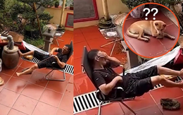 Thanh niên gặp quả báo ngay sau khi trêu chó
