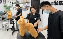 Cắt tỉa lông thú cưng, nghề 'hot' bạn trẻ rủ nhau học