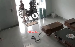 Cô gái hét toáng vì phát hiện có 'bé Na' ghé thăm nhà
