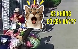 Làm tài xế khó lắm, phải đâu chuyện đùa