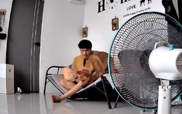Ông chủ đang hát karaoke hú hồn khi chó cưng nhảy sập giường
