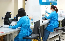 Bên trong ‘thao trường' nghiên cứu bệnh truyền nhiễm tại OUCRU TP.HCM và Bệnh viện Bệnh nhiệt đới