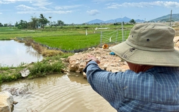 Cao tốc hoàn thành, dân mỏi mòn chờ tiền hỗ trợ