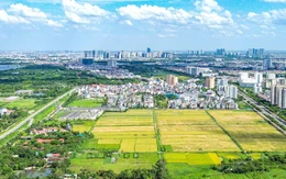 Đề xuất xử hình sự chiếm đất và hủy hoại đất: Cần thiết nhưng nên quy định rõ dấu hiệu cấu thành tội phạm