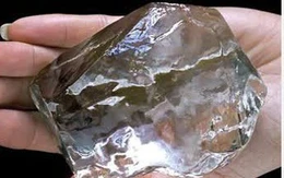 Giá trị, niềm tin và những thứ chưa thể 'nuôi cấy'